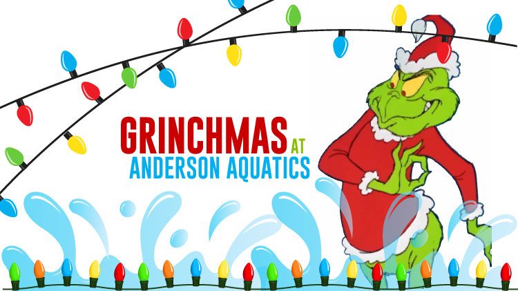 23-12-17-WEB-grinchmas-pool-WEB.jpg